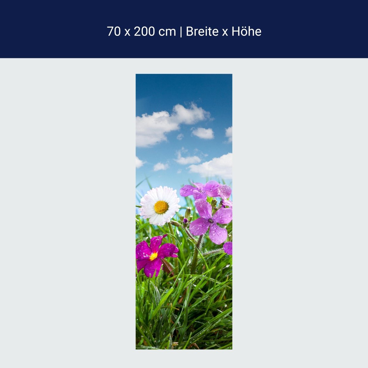 Poster de porte Prairie fleurie sous un ciel bleu M1044