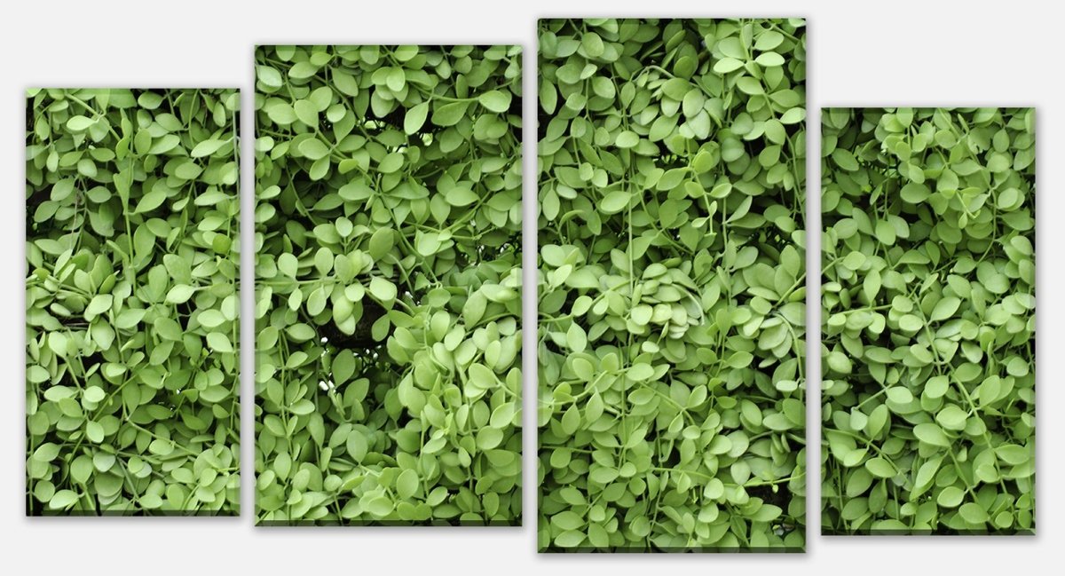 Leinwandbild Mehrteiler Grüne Blätter Wand M1045
