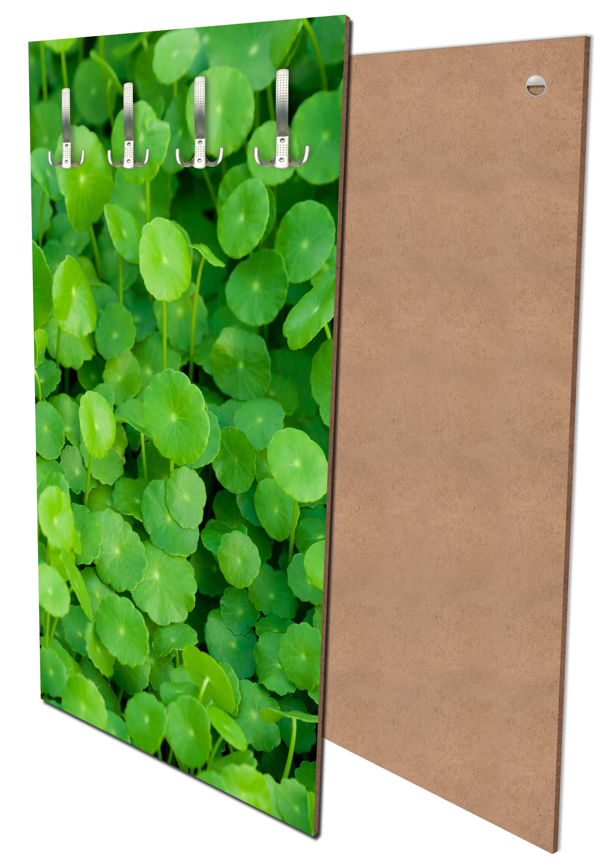 Garderobe Grünpflanzen Hintergrund M1046 entdecken - Bild 1