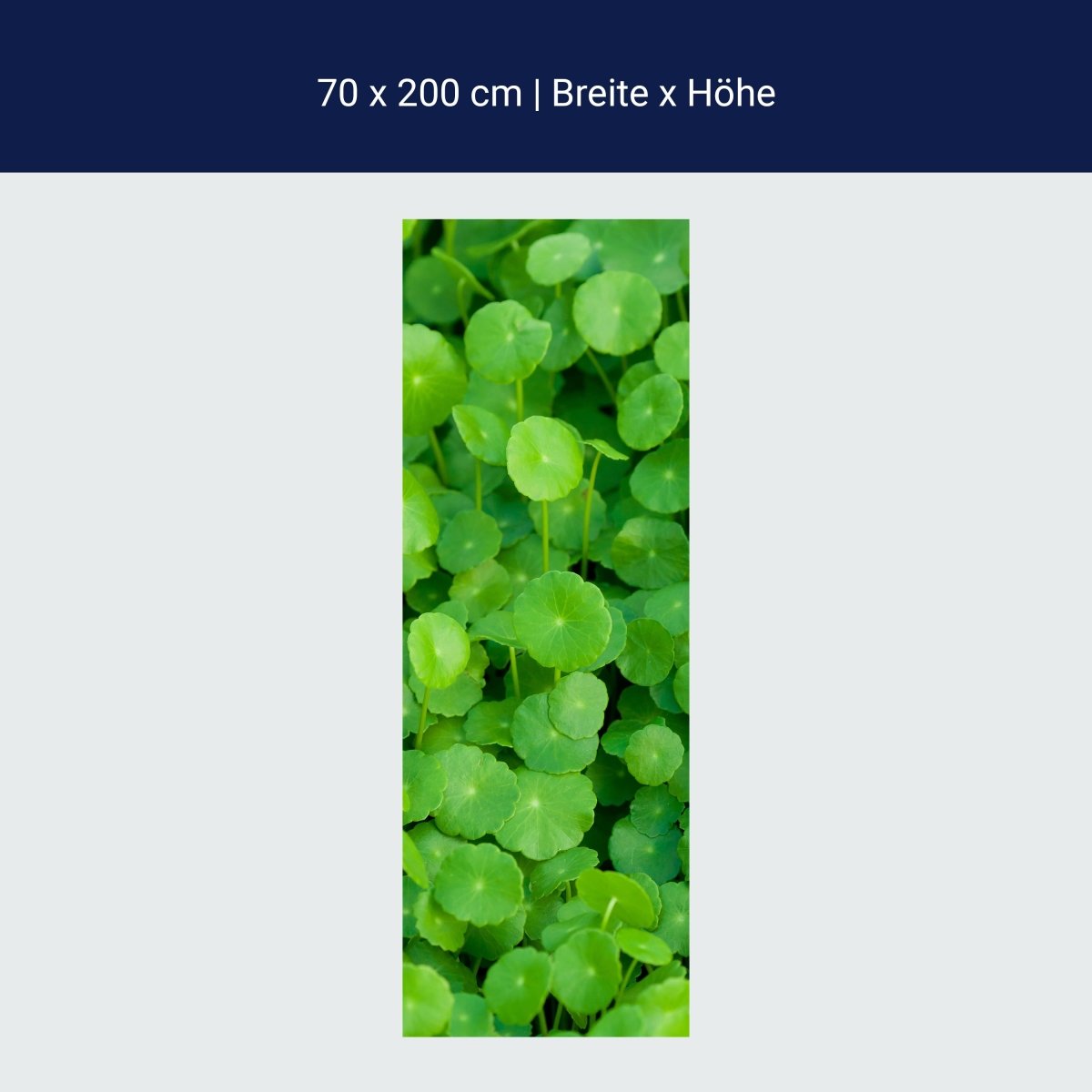 Door wallpaper green plants background M1046