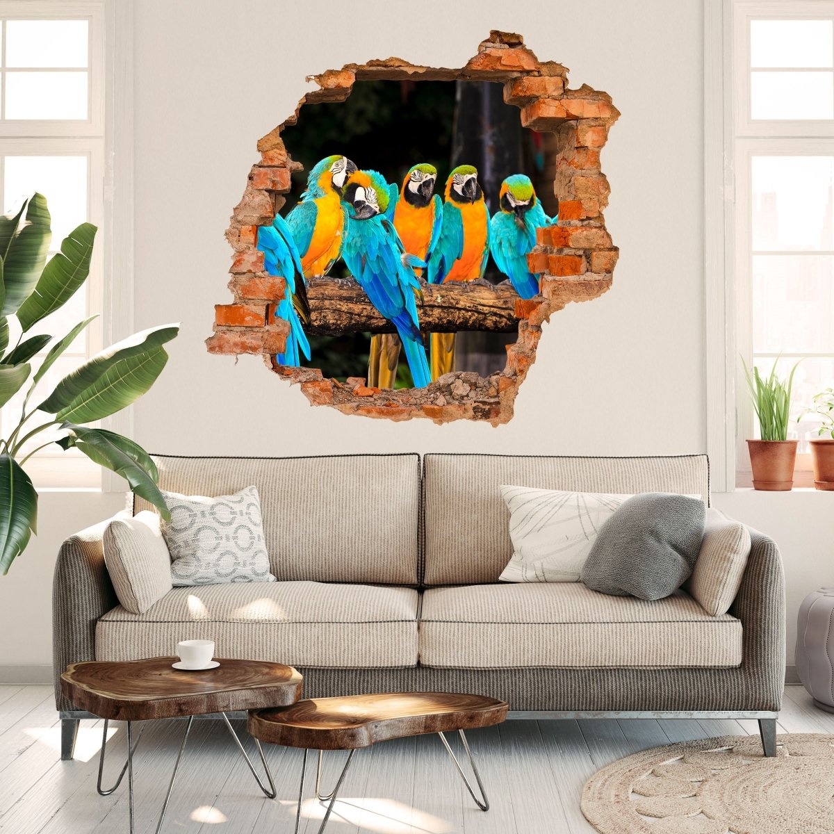 3D wall sticker macaws - wall decal M1047