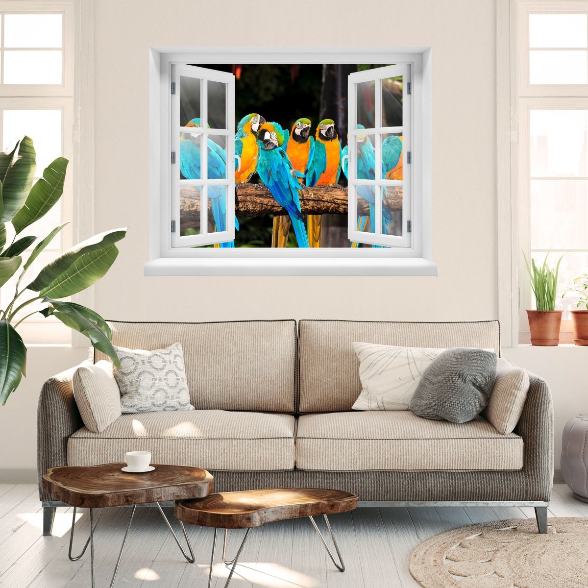 3D wall sticker macaws - wall decal M1047