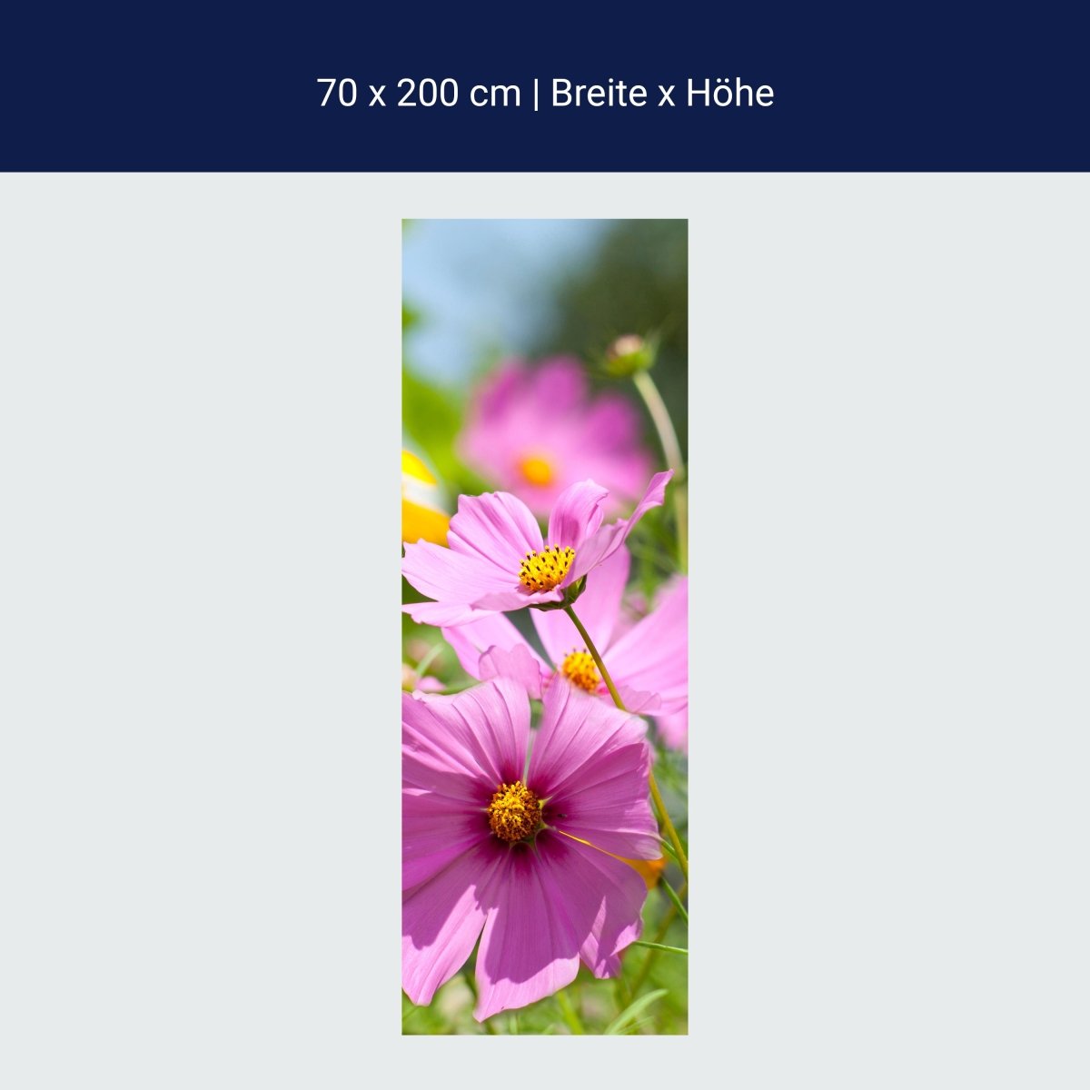 Paroi de douche Belles fleurs printanières M1048