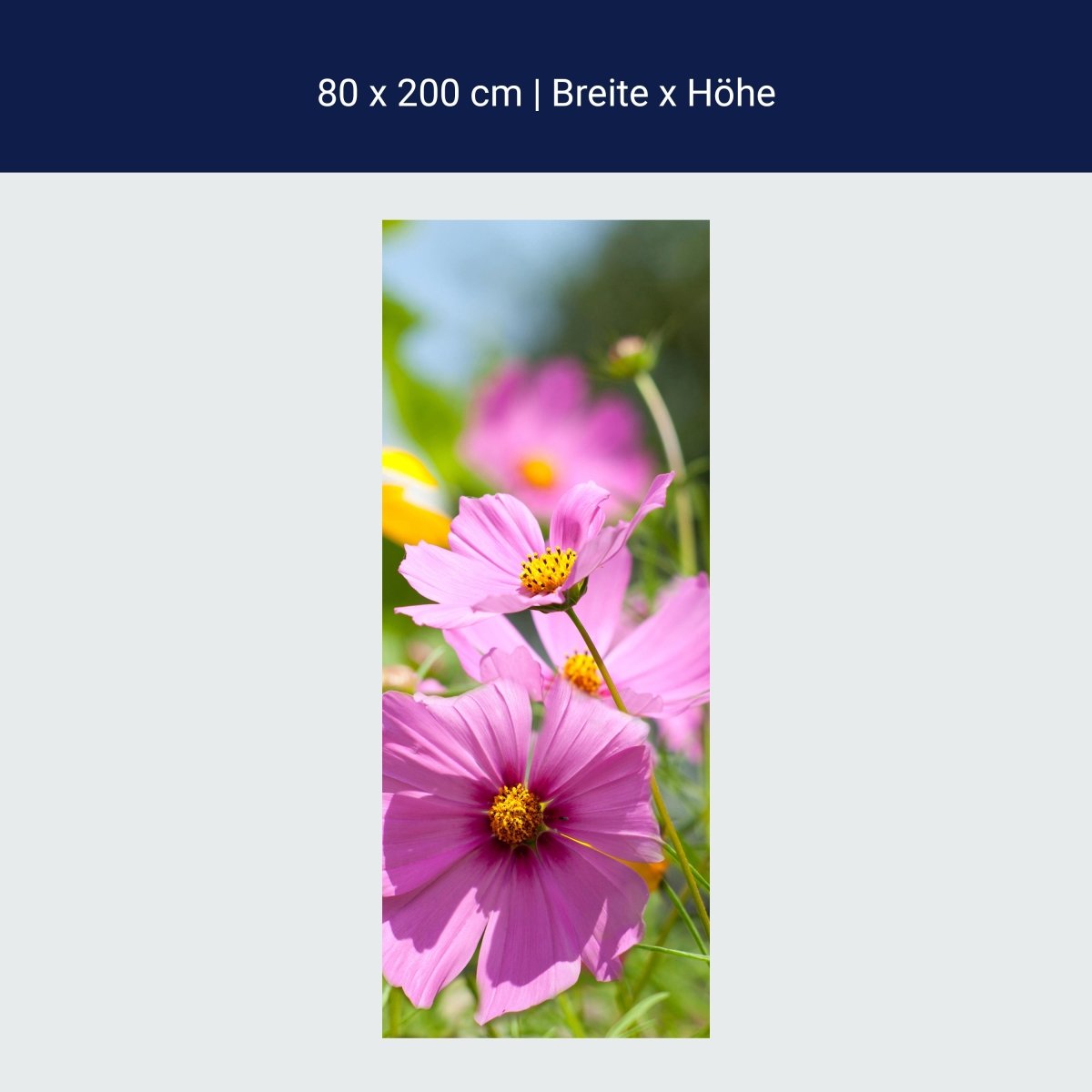 Paroi de douche Belles fleurs printanières M1048