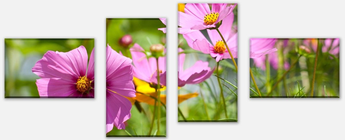 Leinwandbild Mehrteiler Schöne Frühlingsblumen M1048