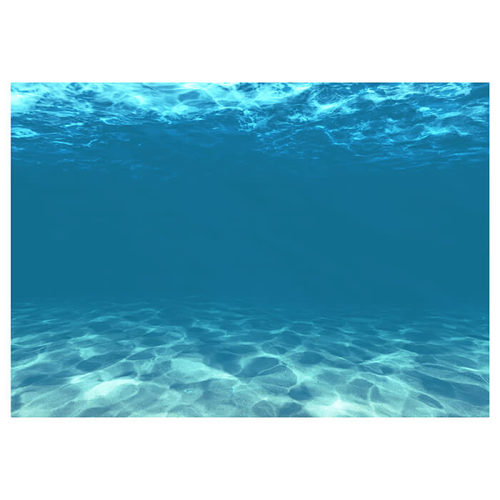 Fototapete Hellblau unter Wasser M1053 - Bild 2