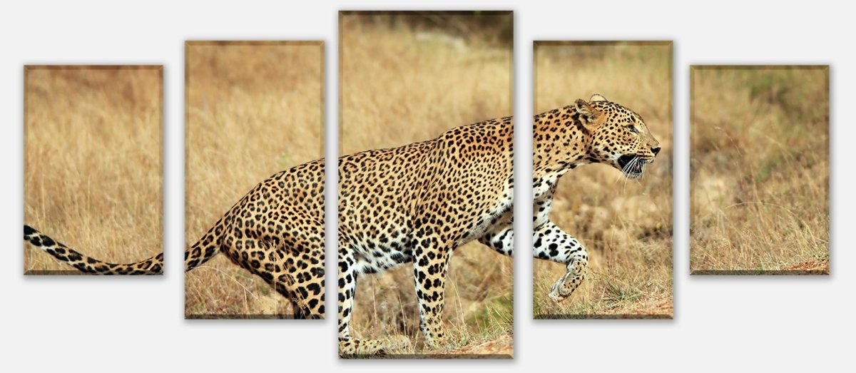 Leinwandbild Mehrteiler Sri-Lankischer Leopard M1058 entdecken - Bild 1