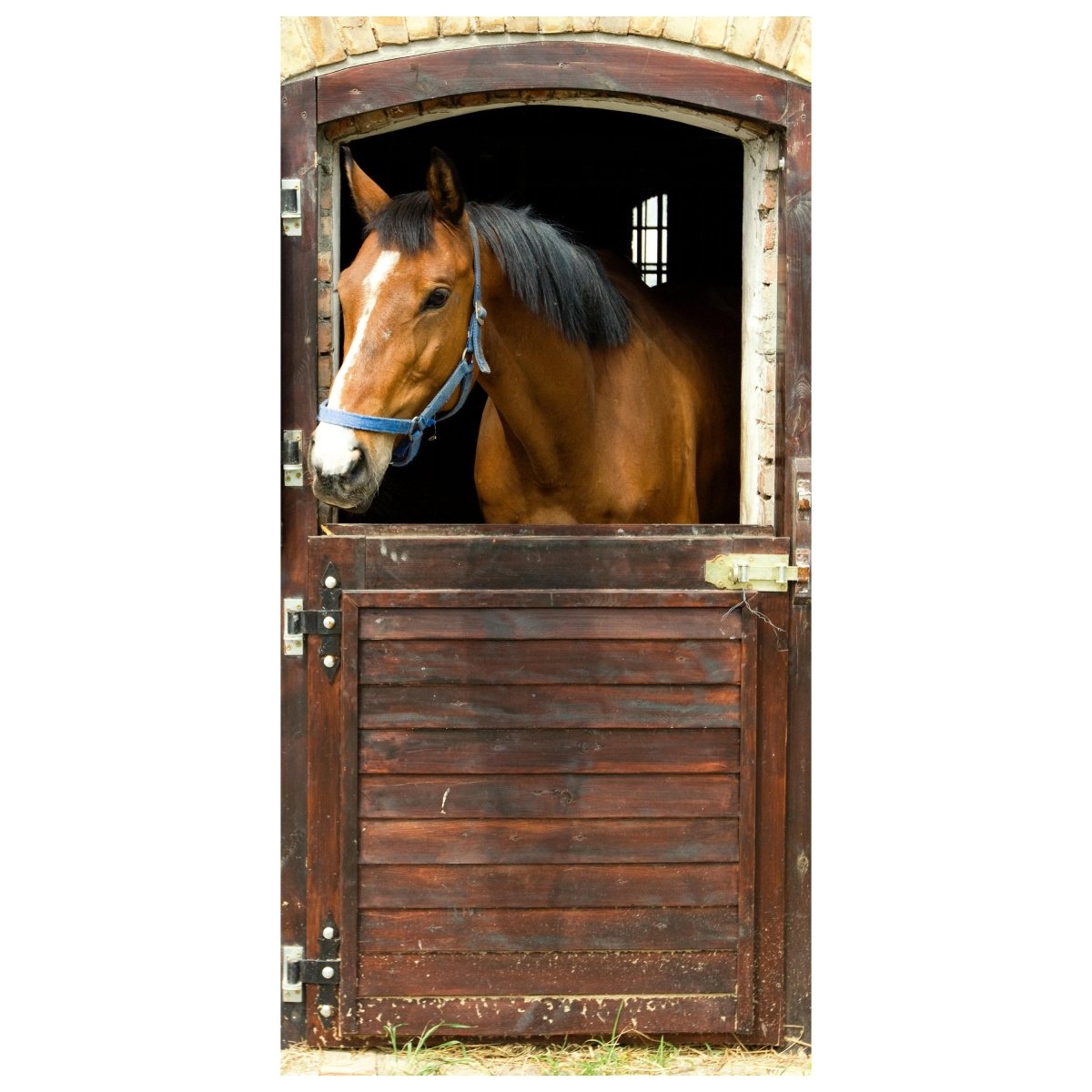 Türtapete Pferd an Stall-tür, Pferde, Tiere, Holz M1070 - Bild 2