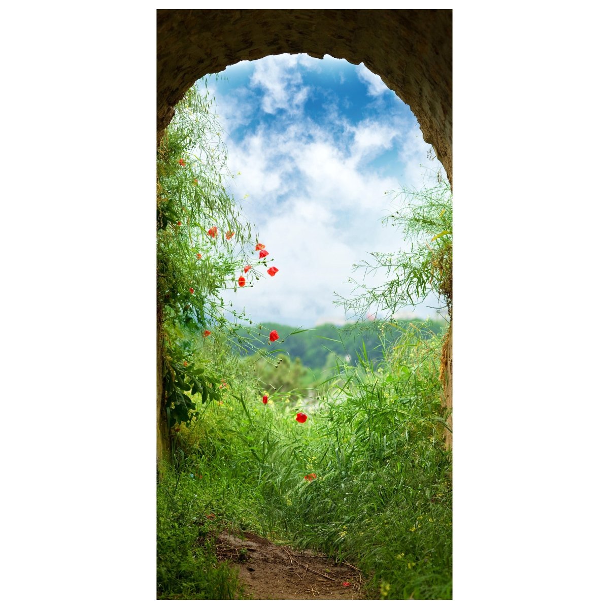 Türtapete Blick aus Tunnel, Wiese, Natur, Blumen M1074 - Bild 2