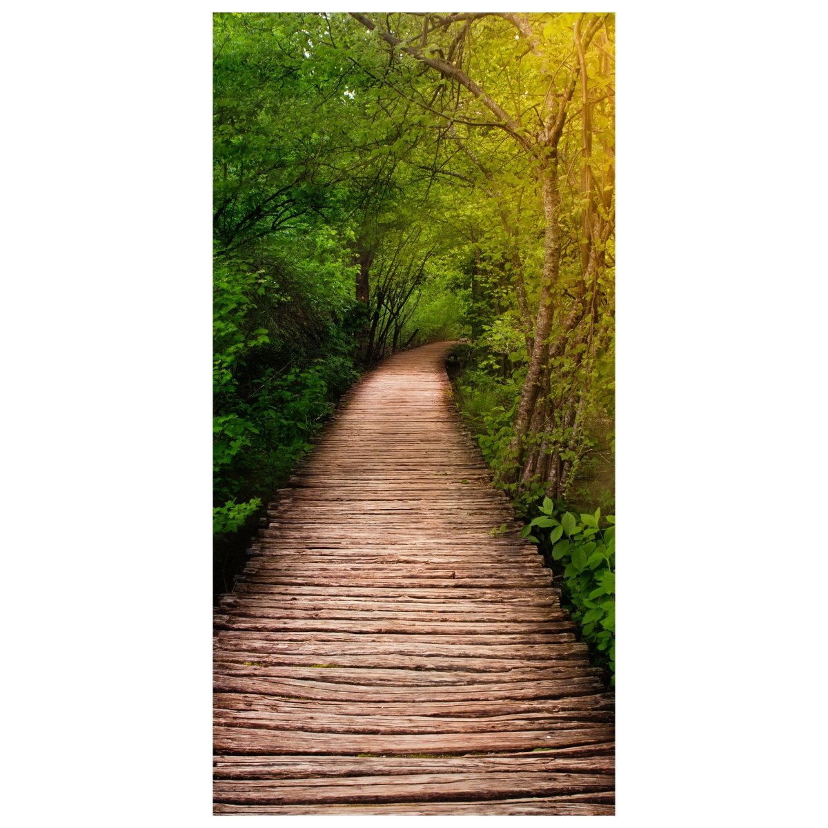 Türtapete Holz-weg in den Wald, Bäume, Natur, Steg M1077 - Bild 2