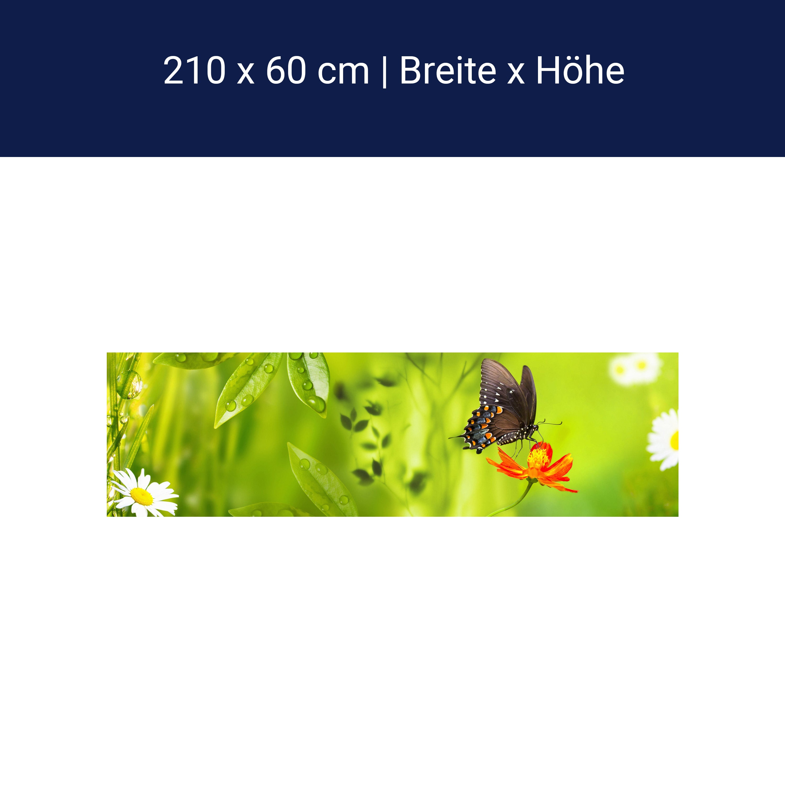 Küchenrückwand Schmetterling Marienkäfer Grün Gänseblüm M1080