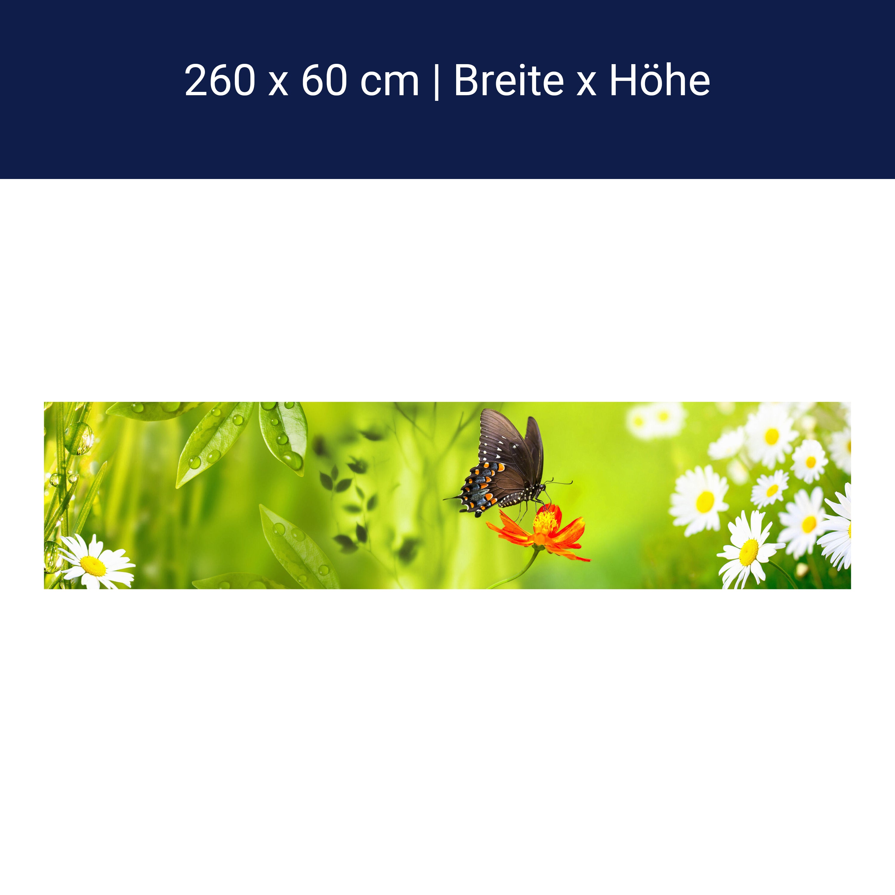 Küchenrückwand Schmetterling Marienkäfer Grün Gänseblüm M1080