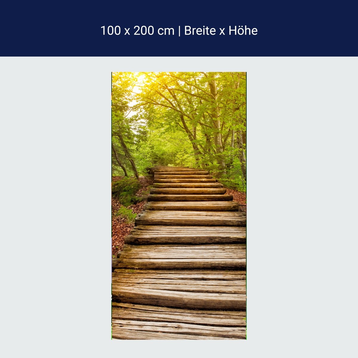 Türtapete Holz-treppen im Wald, Wald-weg, Bäume M1080