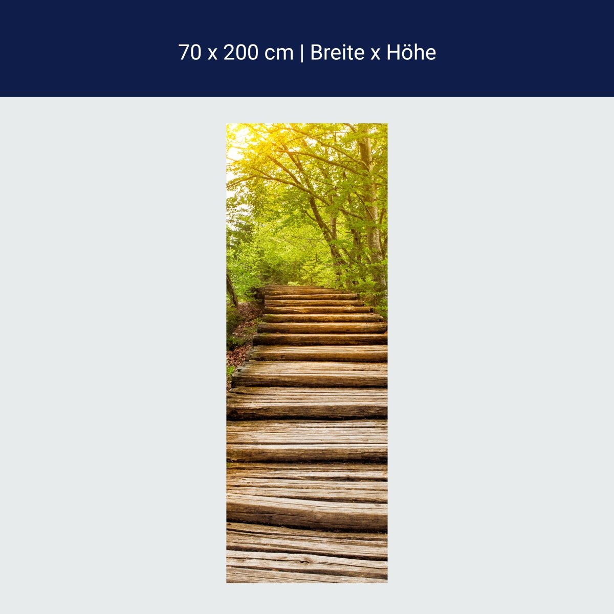 Papiers peints Escaliers en bois dans la forêt, chemin forestier, arbres M1080
