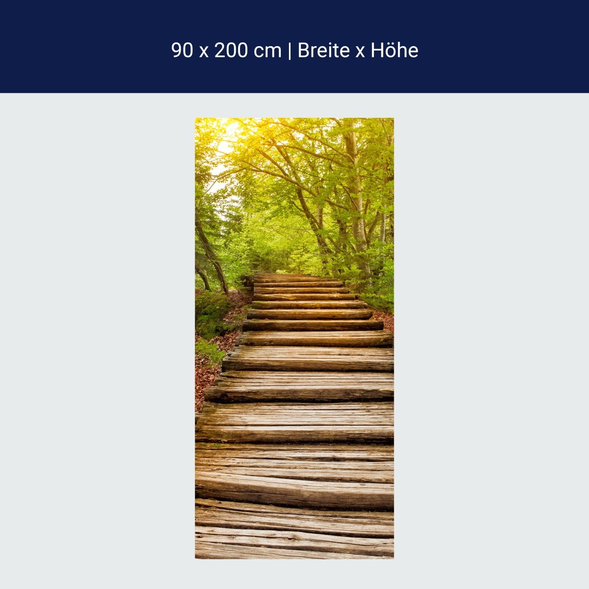 Türtapete Holz-treppen im Wald, Wald-weg, Bäume M1080