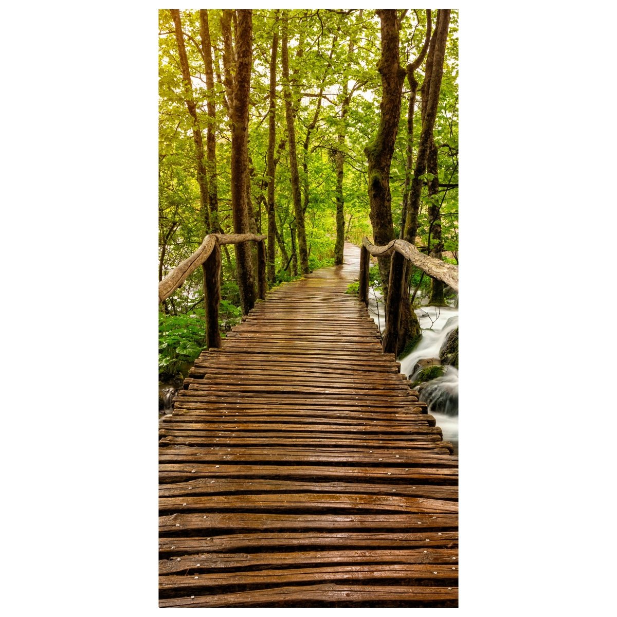 Türtapete nasser Holz-steg, Regen, Wald, Wald-weg M1081 - Bild 2