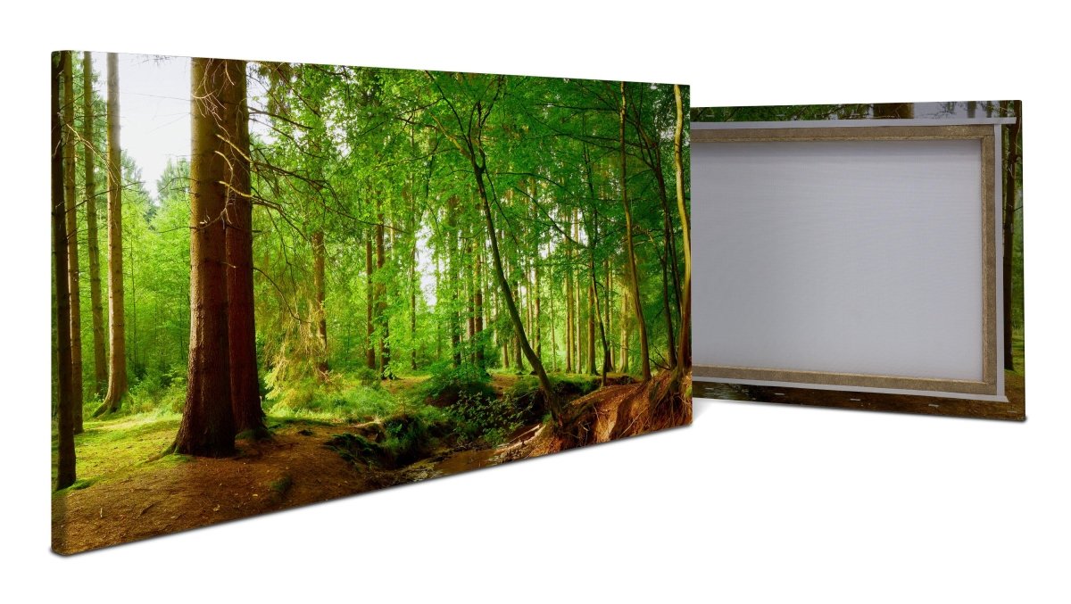 Leinwandbild Bach im Wald, Natur, Grün, Bäume, Wasser M1087 - Bild 1