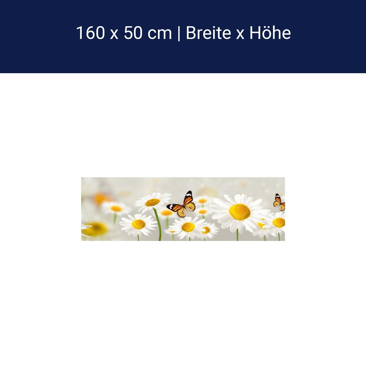 Crédence de cuisine marguerites papillons M1095