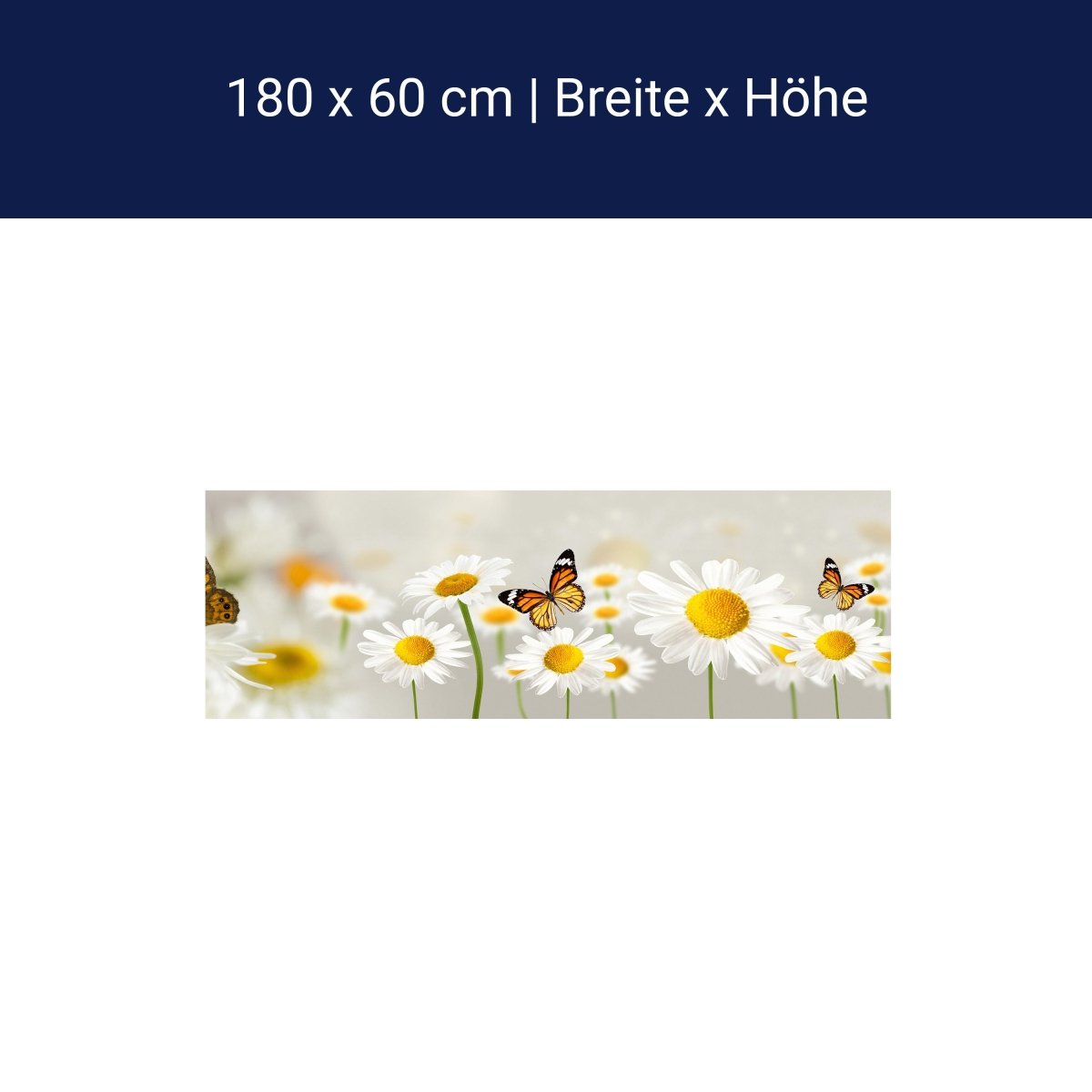 Küchenrückwand Gänseblümchen Schmetterlinge M1095