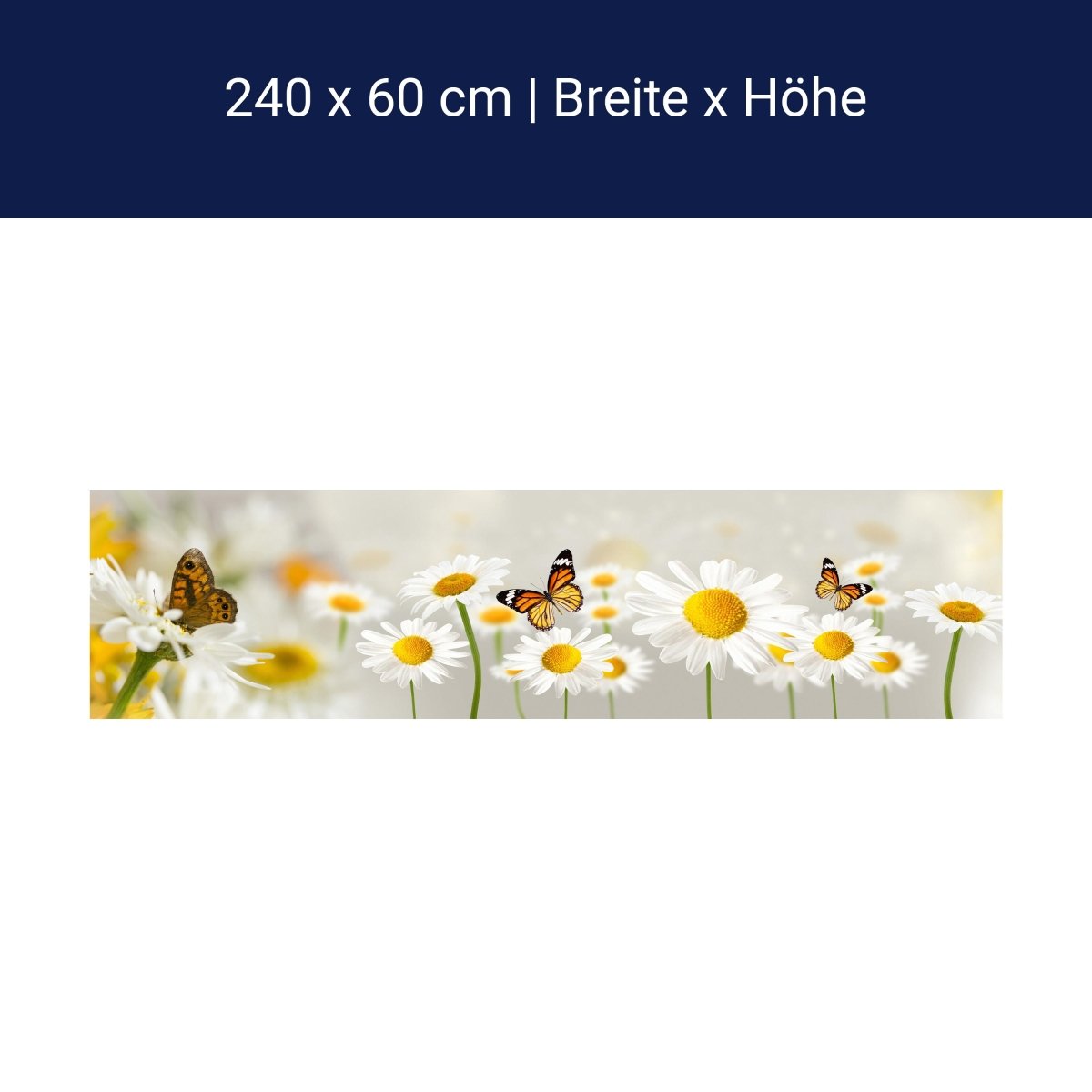 Küchenrückwand Gänseblümchen Schmetterlinge M1095