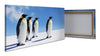 Leinwandbild Königspinguine, Pinguine, Eis, Tiere M1095