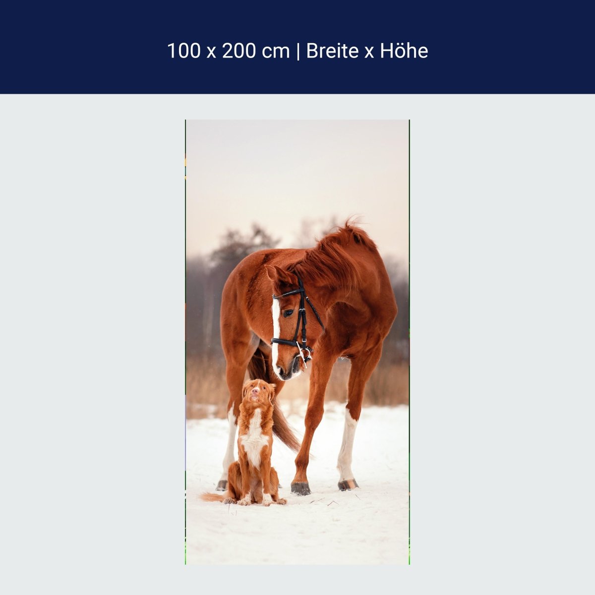 Türtapete Tierische Freunde Hund & Pferd, Tiere M1097