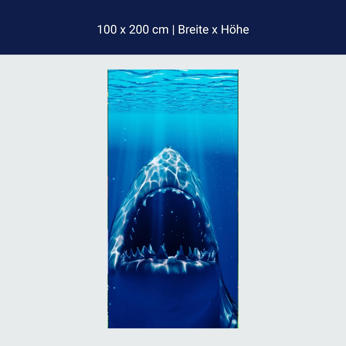 Türtapete Großer Weißer Hai Unter-wasser, Zähne M1107