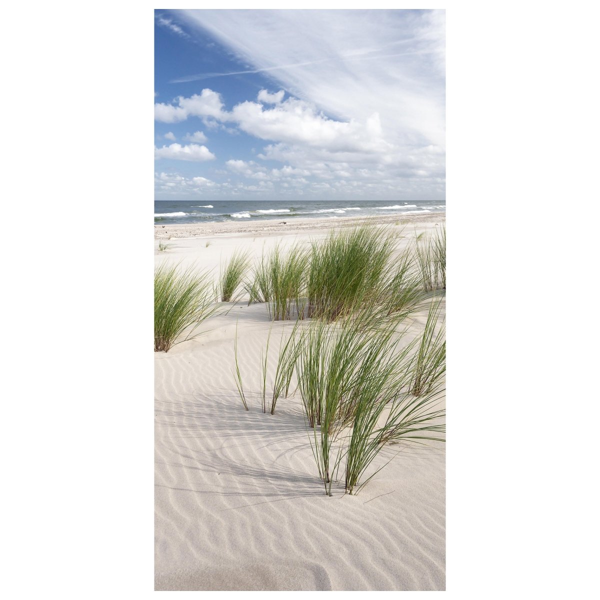 Türtapete Gräser am Sand-strand, Meer, Wasser M1110 - Bild 2