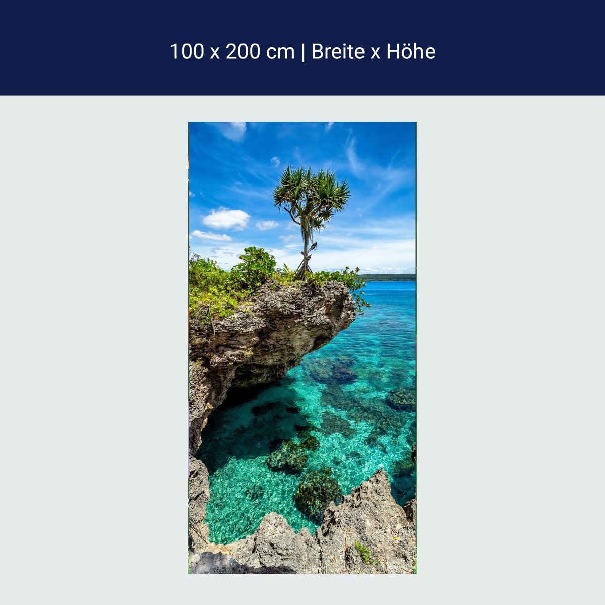 Türtapete Palme auf Fels-klippe, Meer, Ozean M1111