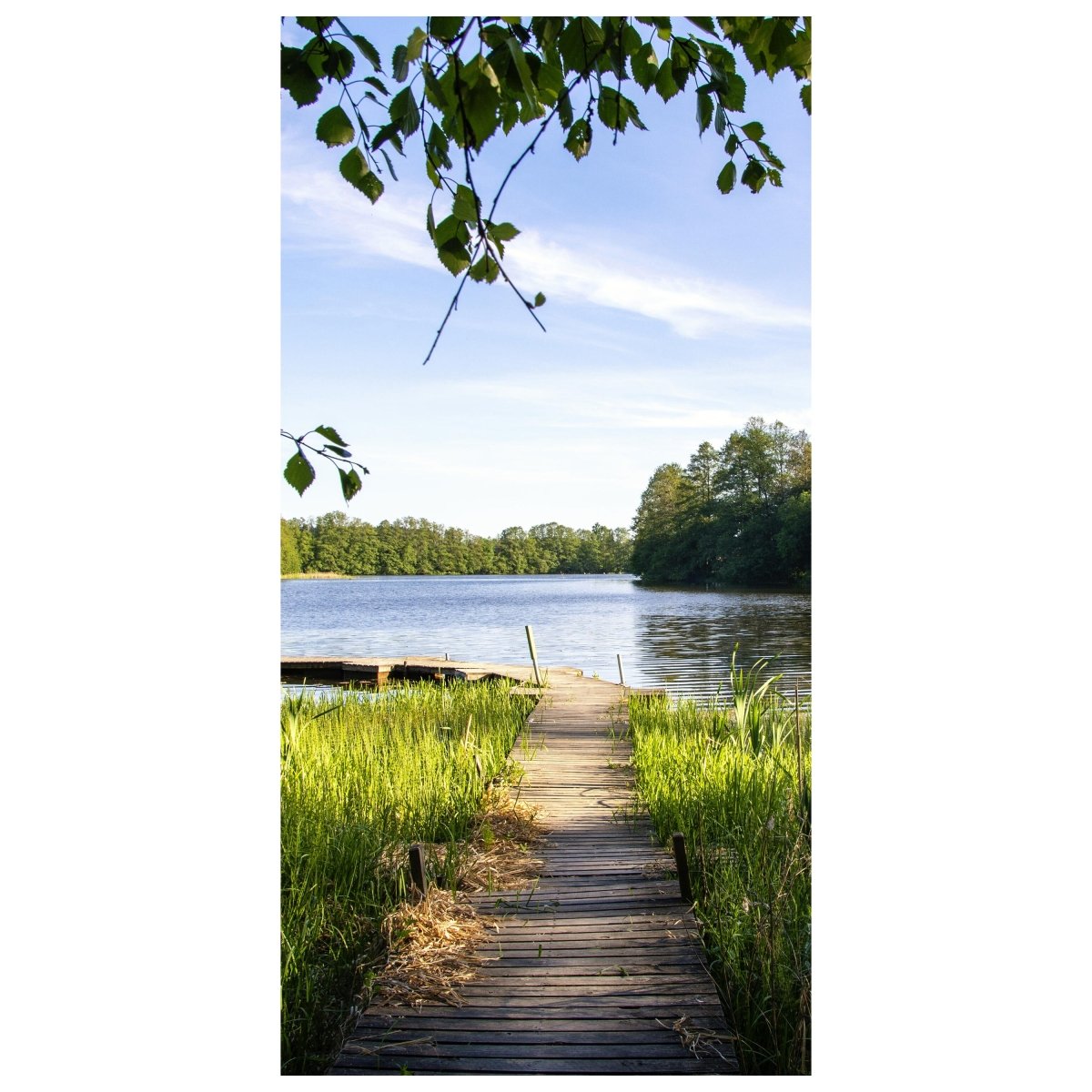 Türtapete Holz-steg an einem See, Natur, Teich M1116 - Bild 2