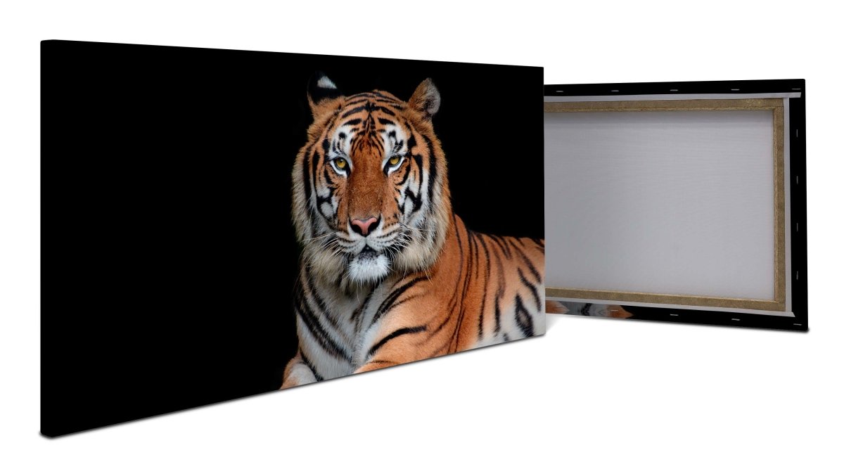 Leinwandbild Tiger, Tier, schwarz, orange M1117 - Bild 1