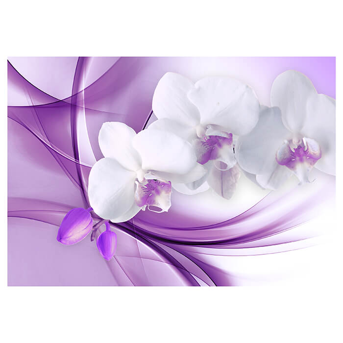 Fototapete Orchidee Blume Lila M1118 - Bild 2