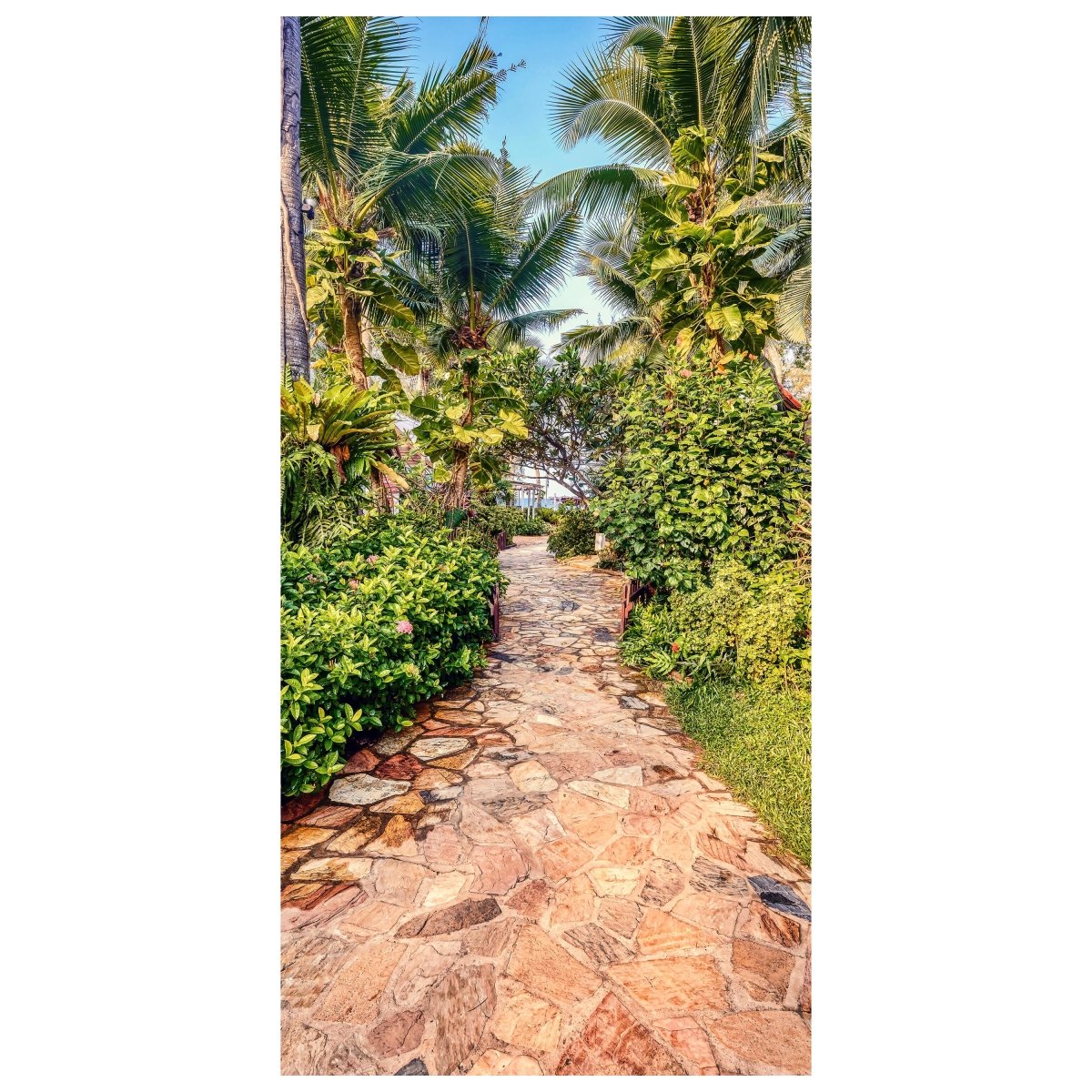 Türtapete Weg durch tropischen Park, Palmen M1118 - Bild 2