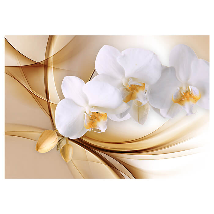 Fototapete Floral Orchidee Gold M1119 - Bild 2