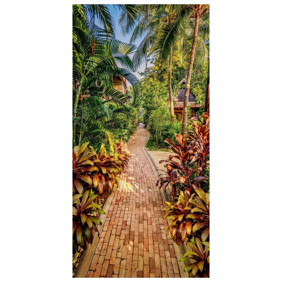 Türtapete Fuß-weg in den Tropen, Palmen, Grün M1119 - Bild 2