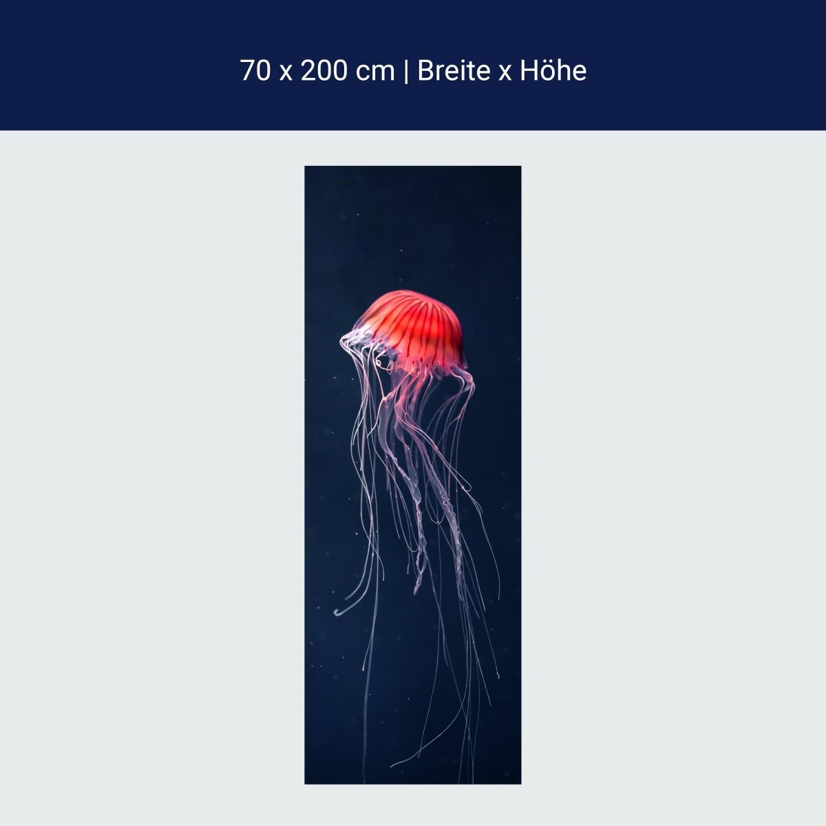 Wall Mural Red jellyfish in the sea dark animal M1121