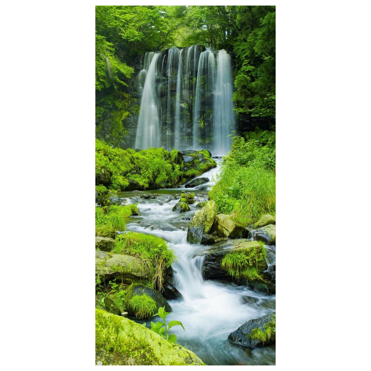 Türtapete Wasserfall im Dschungel, Wald, Wasser M1122 - Bild 2