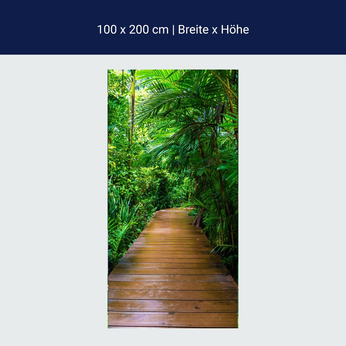Door wallpaper wooden path in the jungle, rain forest M1124