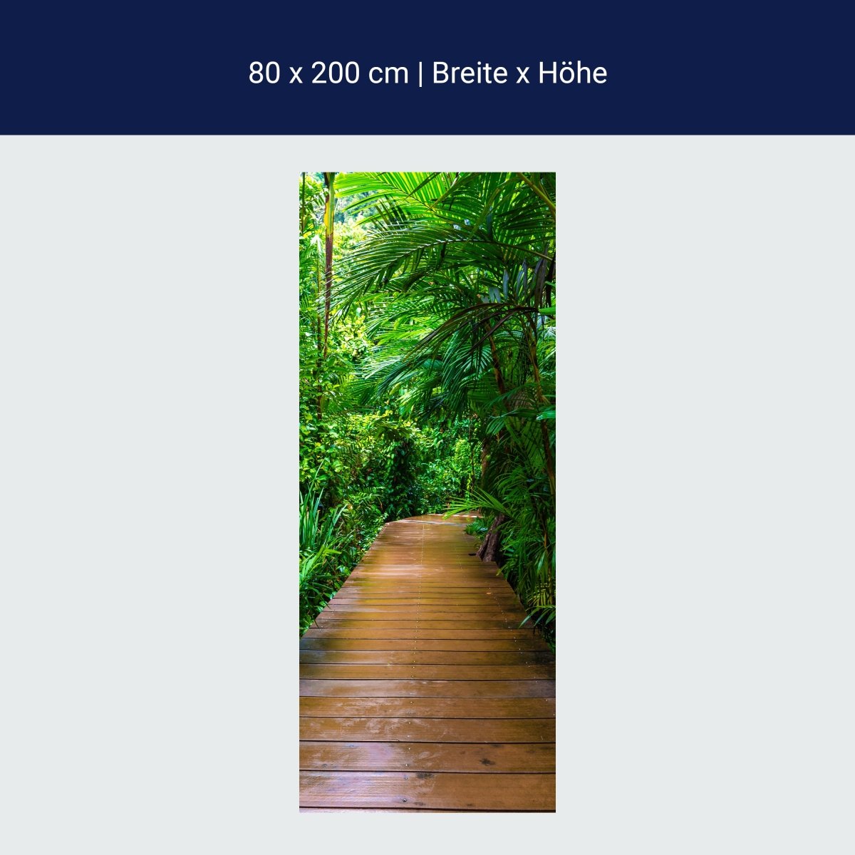 Door wallpaper wooden path in the jungle, rain forest M1124