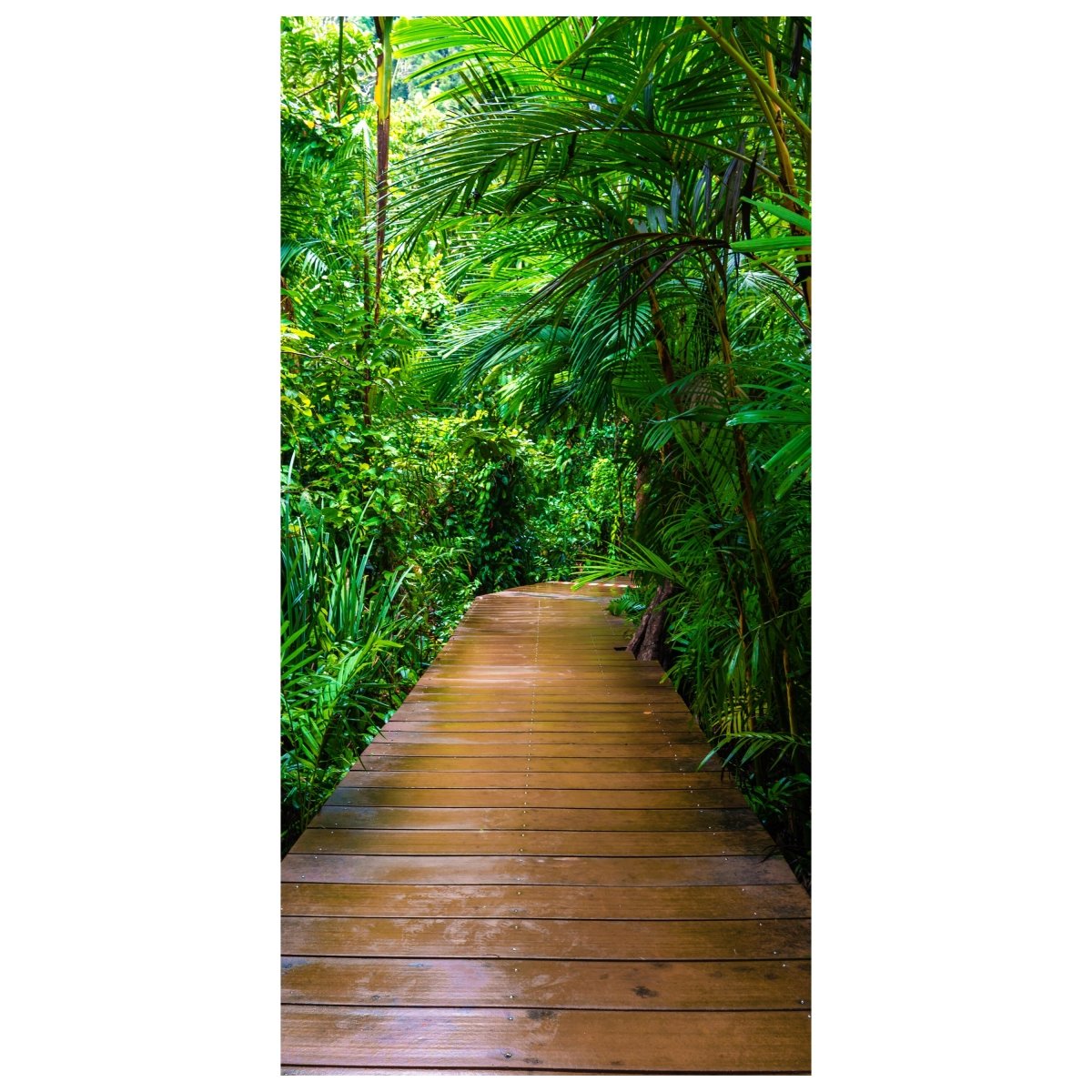 Türtapete Holz-weg in den Dschungel, Regen-wald M1124 - Bild 2