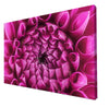 Canvas Print Flower blossom pink chrysanthemum M1127