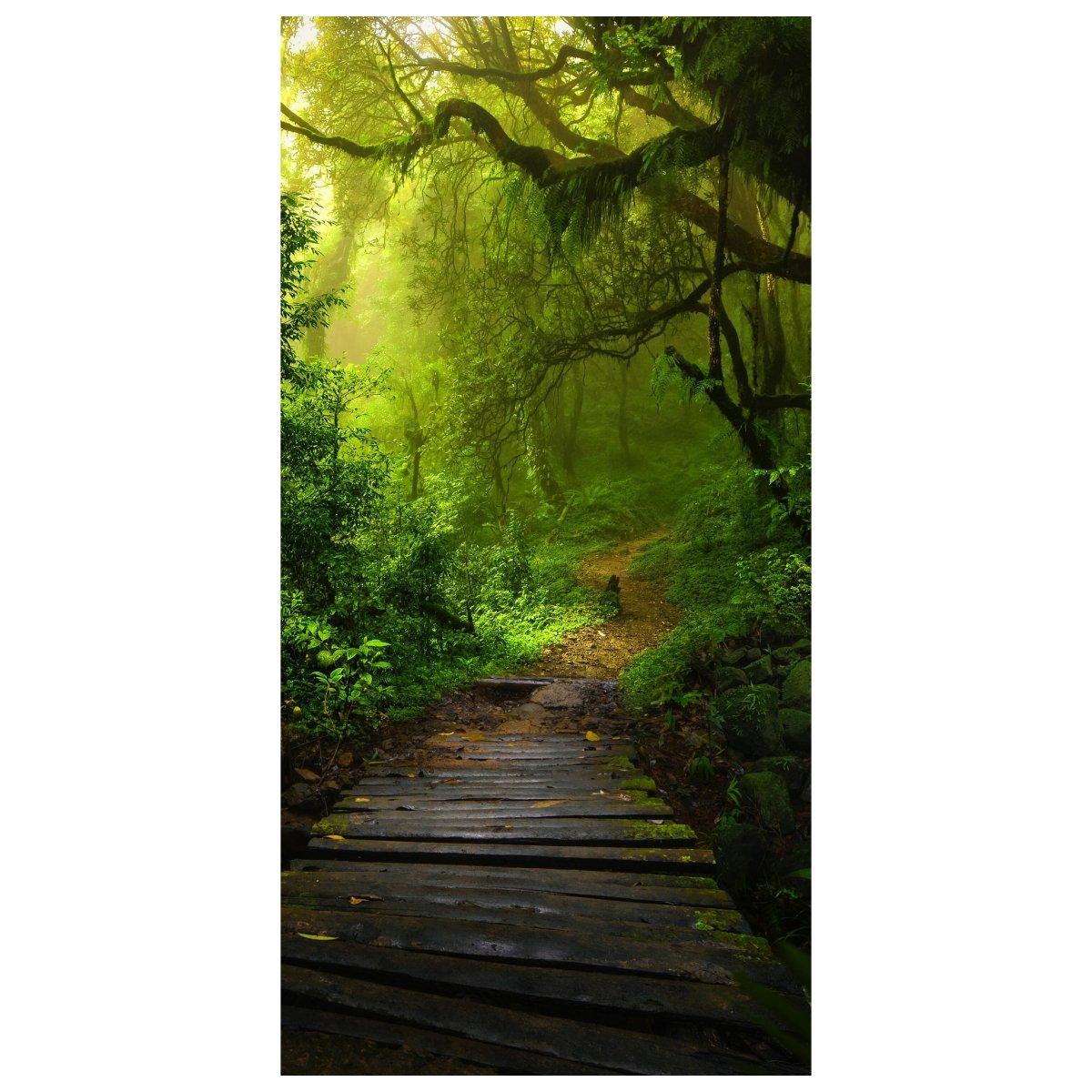 Türtapete Holz-weg in mystischem Wald, Urwald M1127 - Bild 2