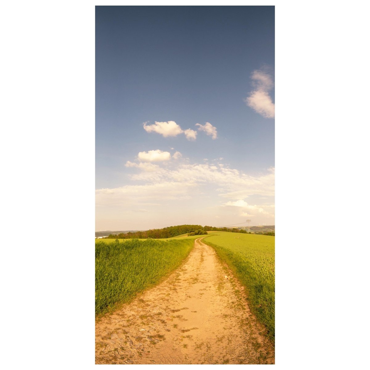 Türtapete sommer-licher Feld-weg, Wolken, Himmel M1128 - Bild 2