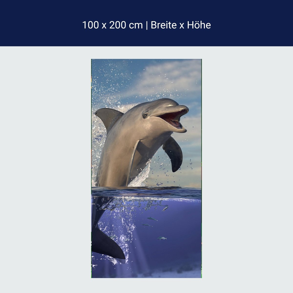 Türtapete springender Delfin, Säugetier, Sonne M1129