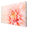Canvas print Blossom flower pink dahlia M1131