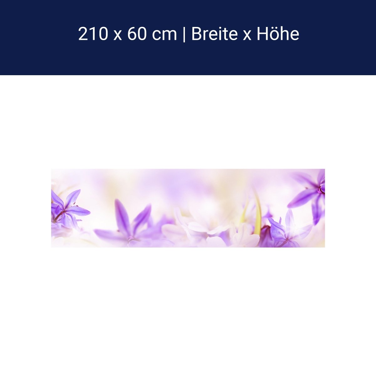 Küchenrückwand Lila Natur Blume Lilie Fokus Weichzeichn M1135