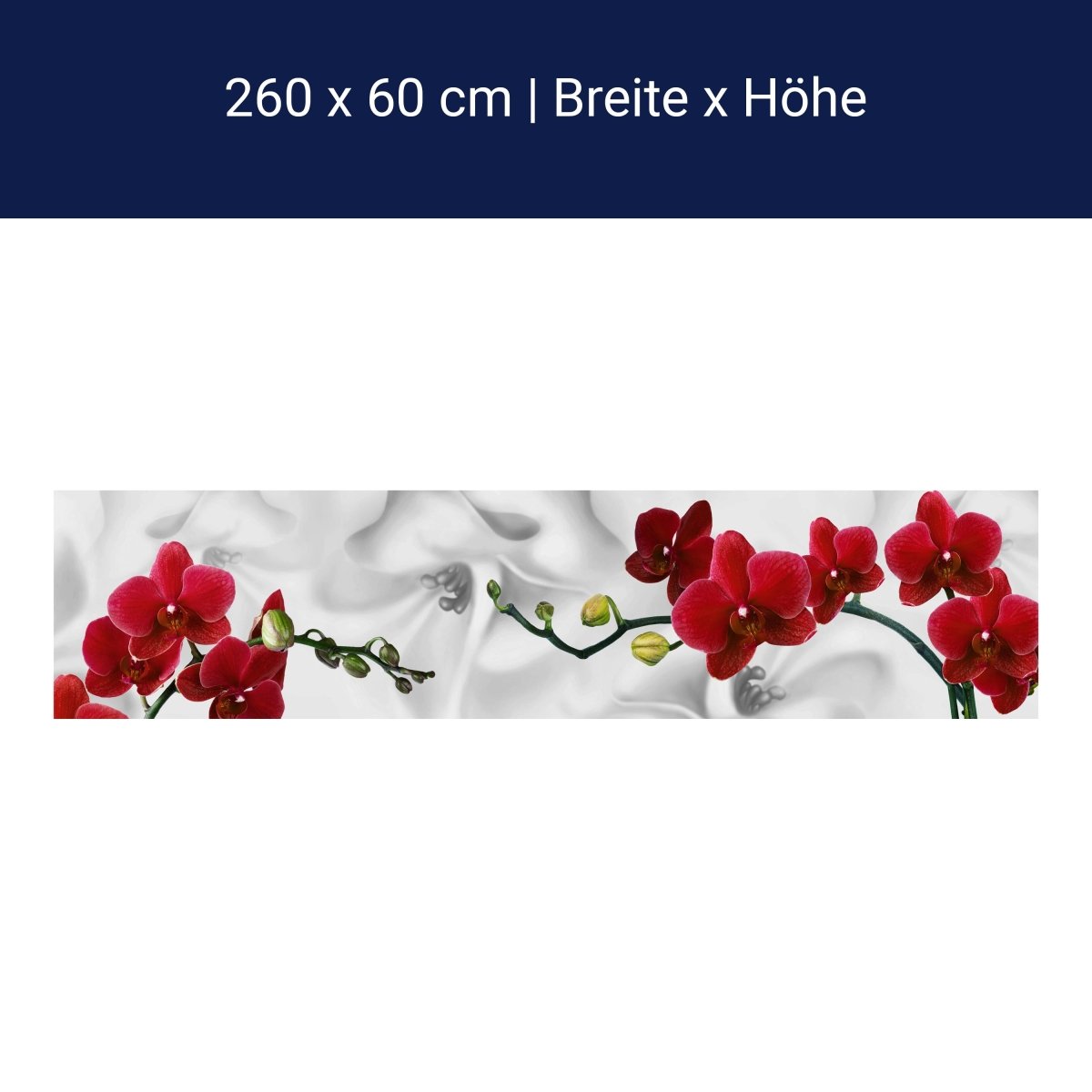 Küchenrückwand Orchideen Rot Weiß Pflanze Hintergrund M1148