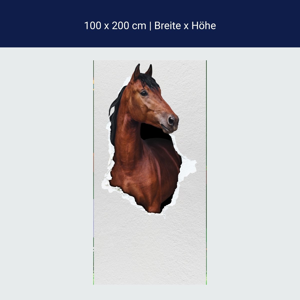 Türtapete braunes Pferd schaut durch Mauer, 3D M1155