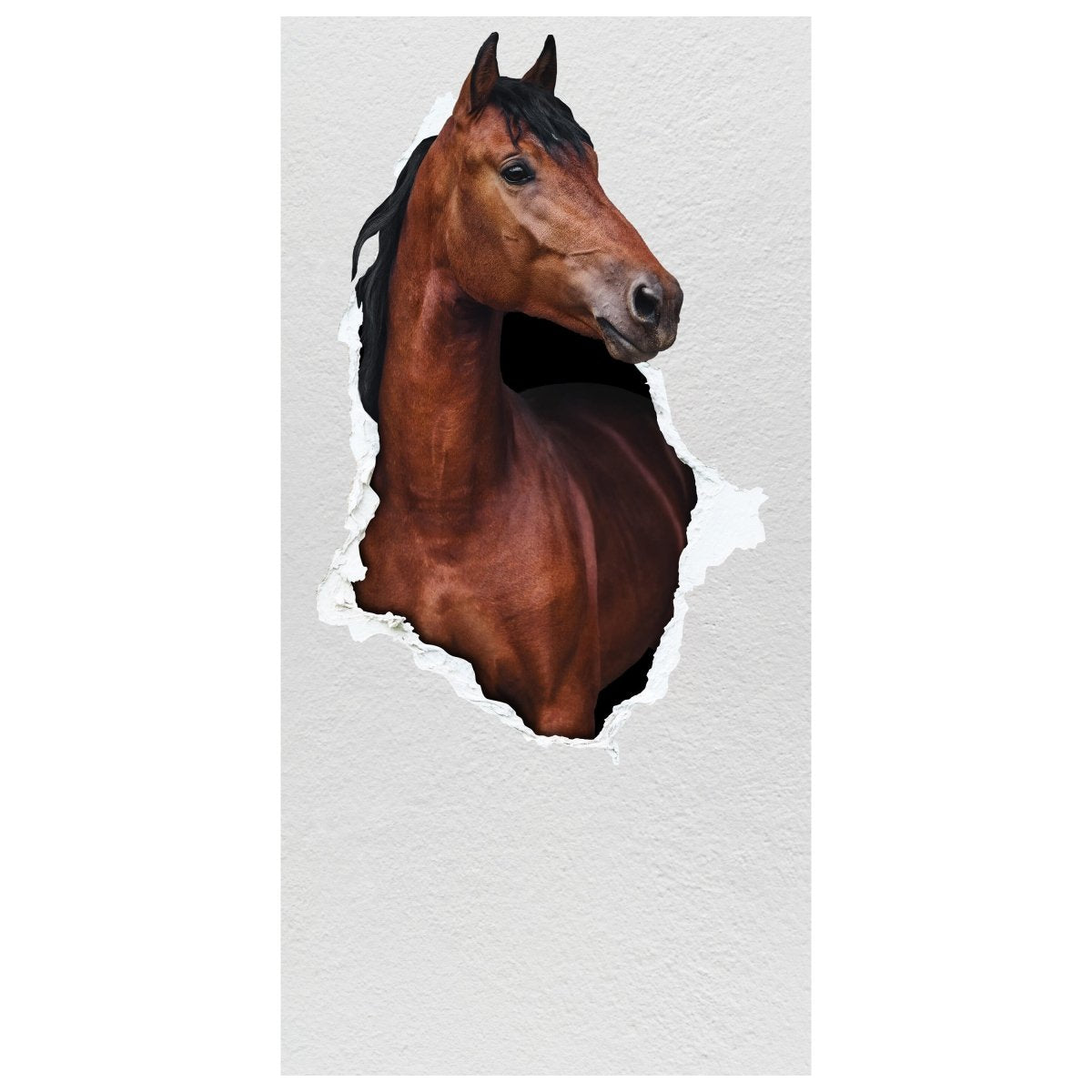Türtapete braunes Pferd schaut durch Mauer, 3D M1155 - Bild 2