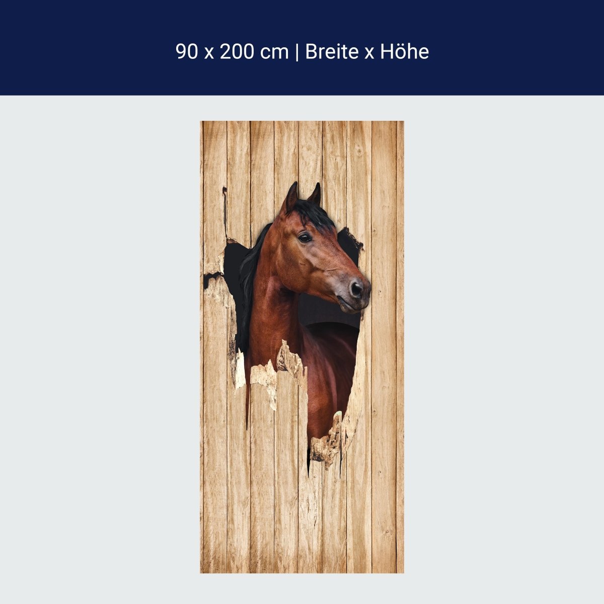Door wallpaper brown horse looking through wooden wall, 3D M1156